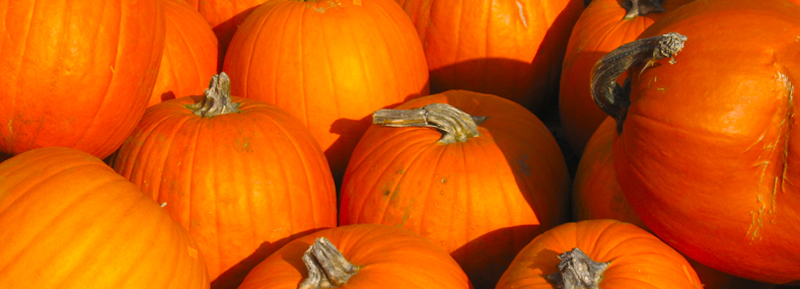 Pumpkins at Urban Village Farmers Market