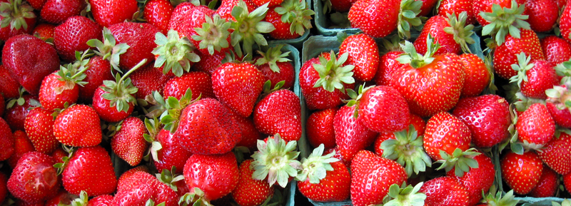 Strawberries at Urban Village Farmers Market